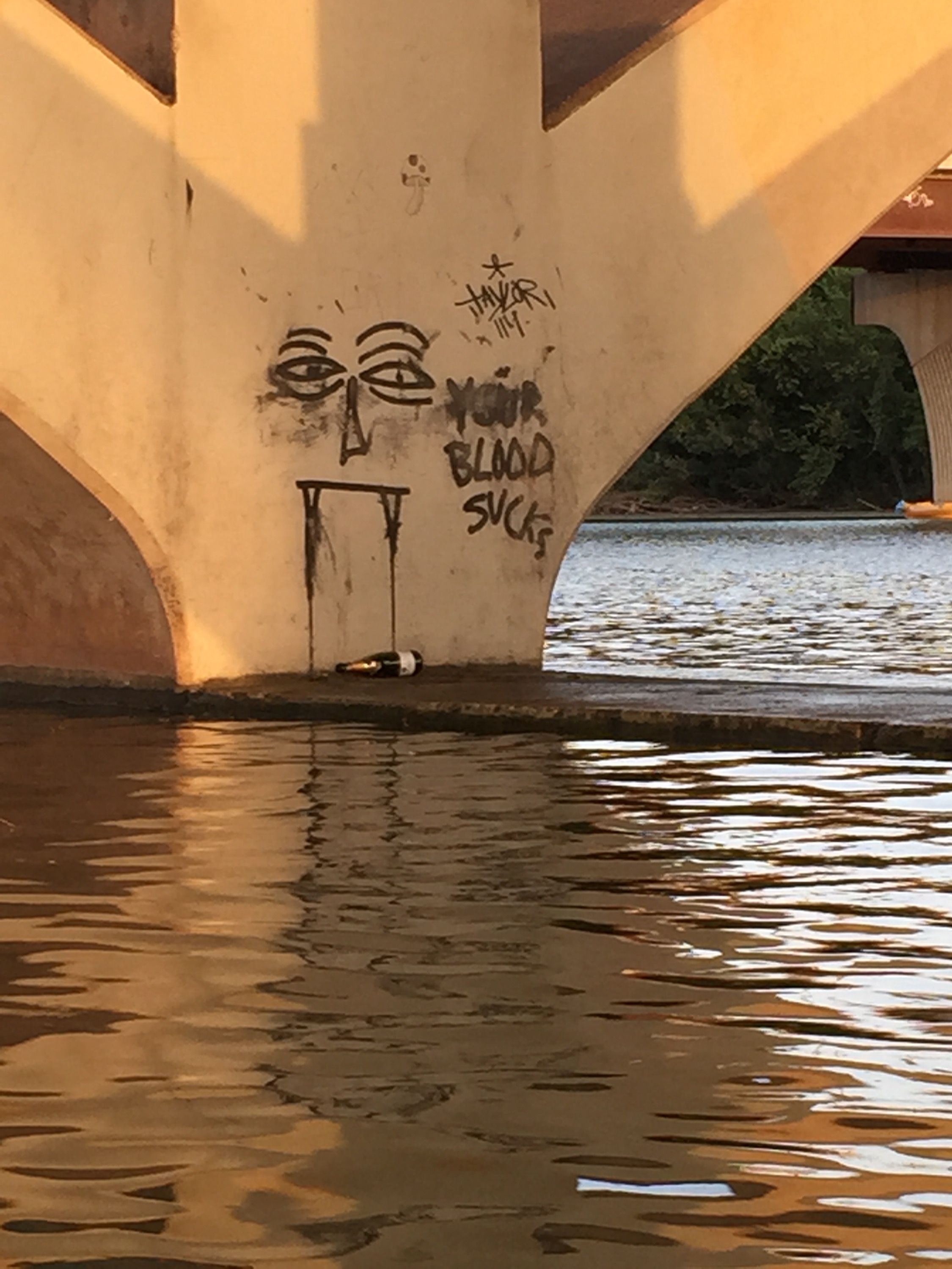 Bats under the bridge