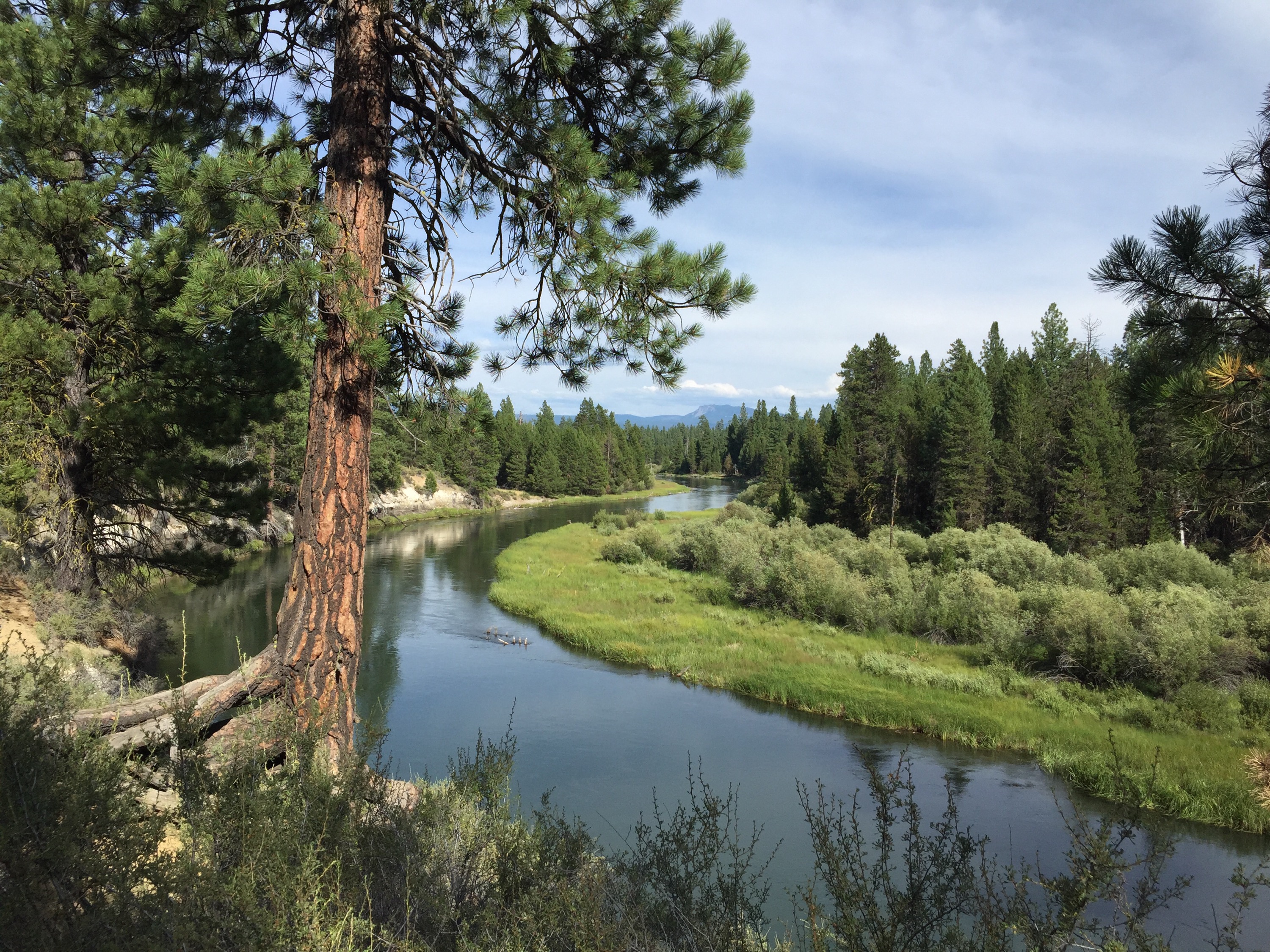 we hiked about a mile to get to this beautiful fishing spot