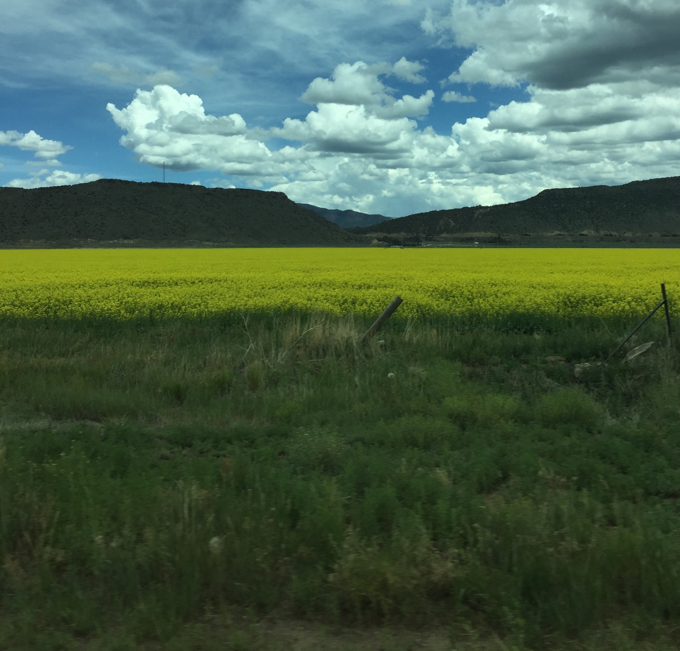 One of the first things we saw driving into Colorado.