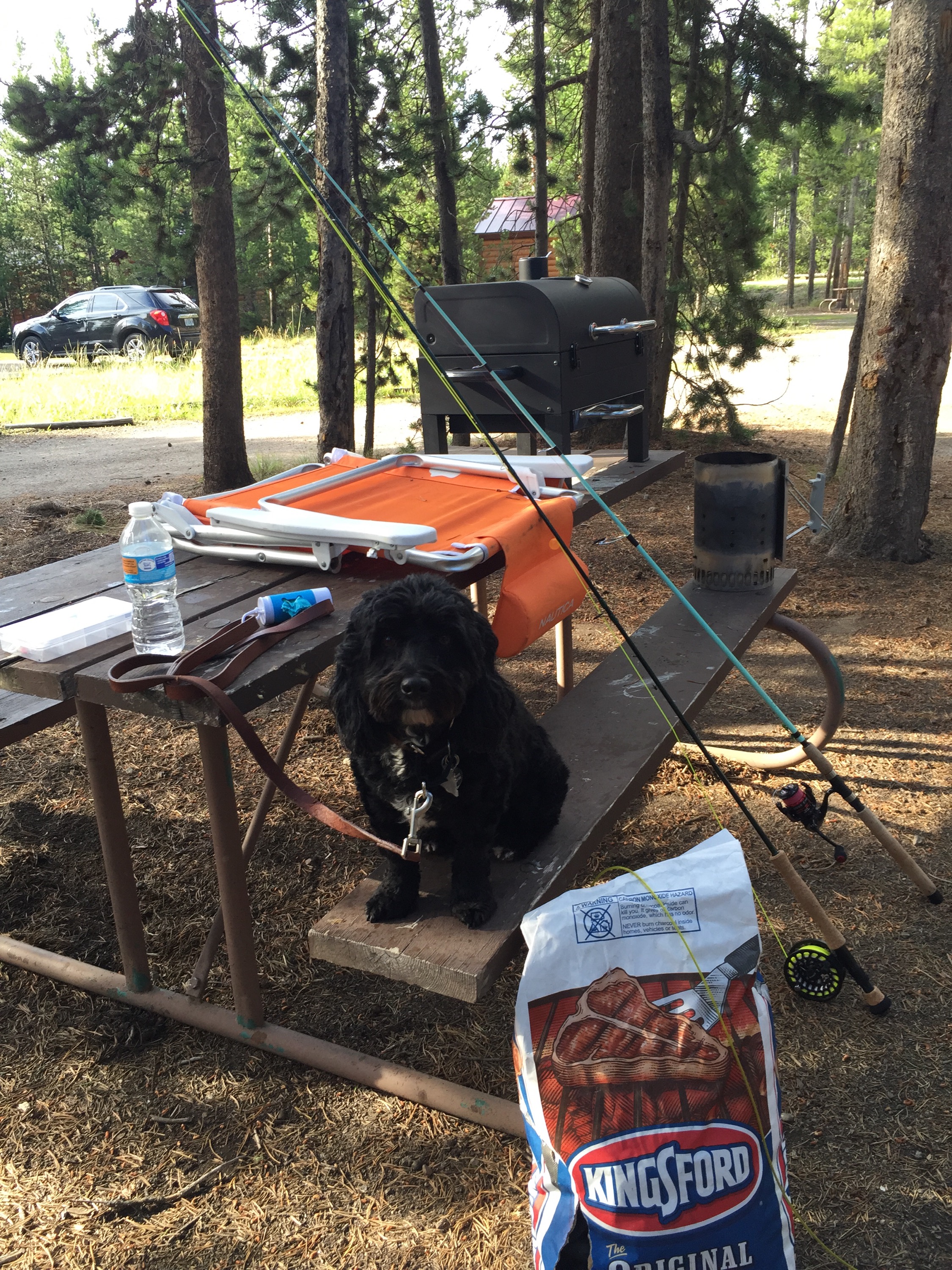 Darwin keeping watch over camp