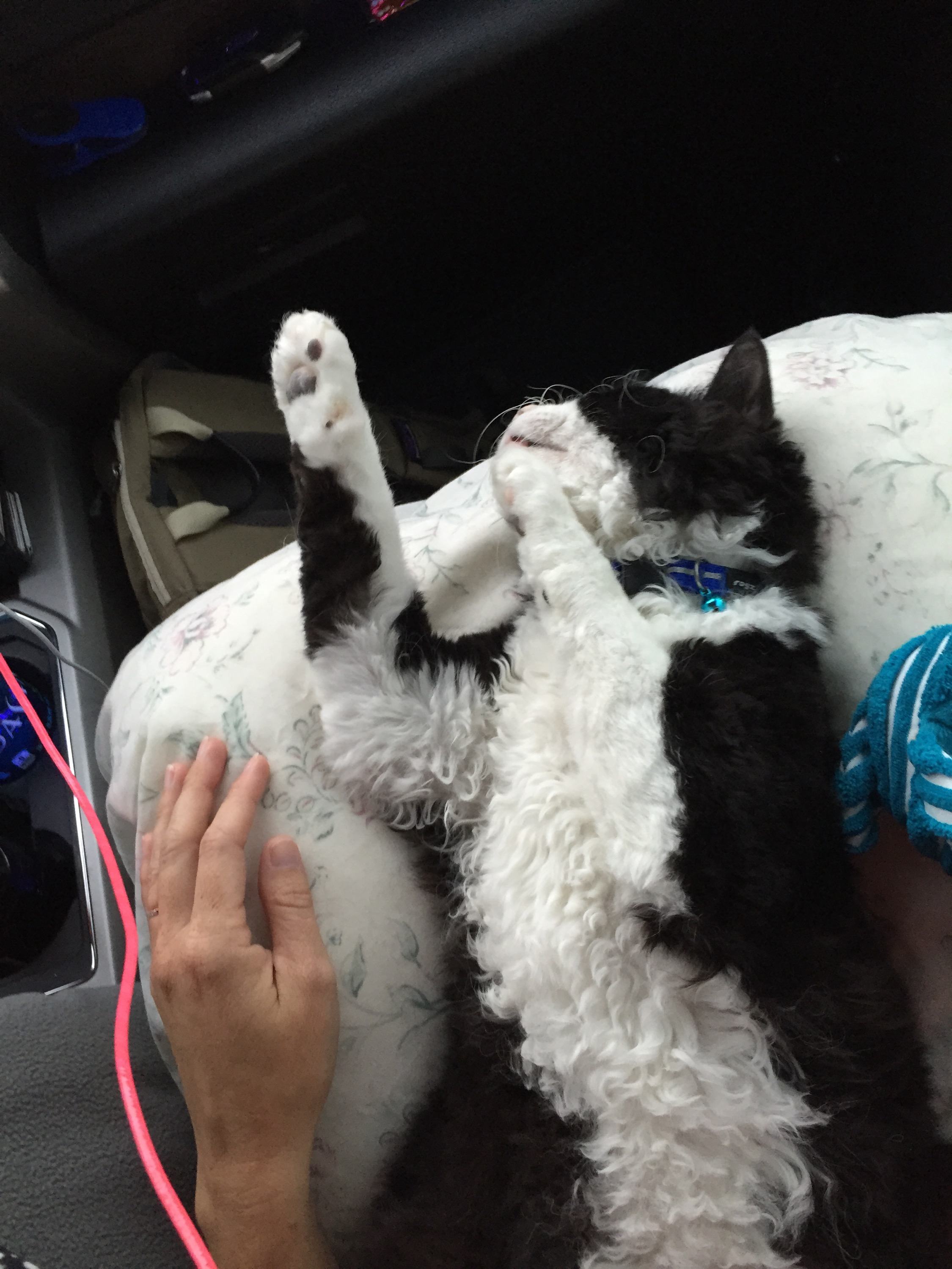 Not spoiled