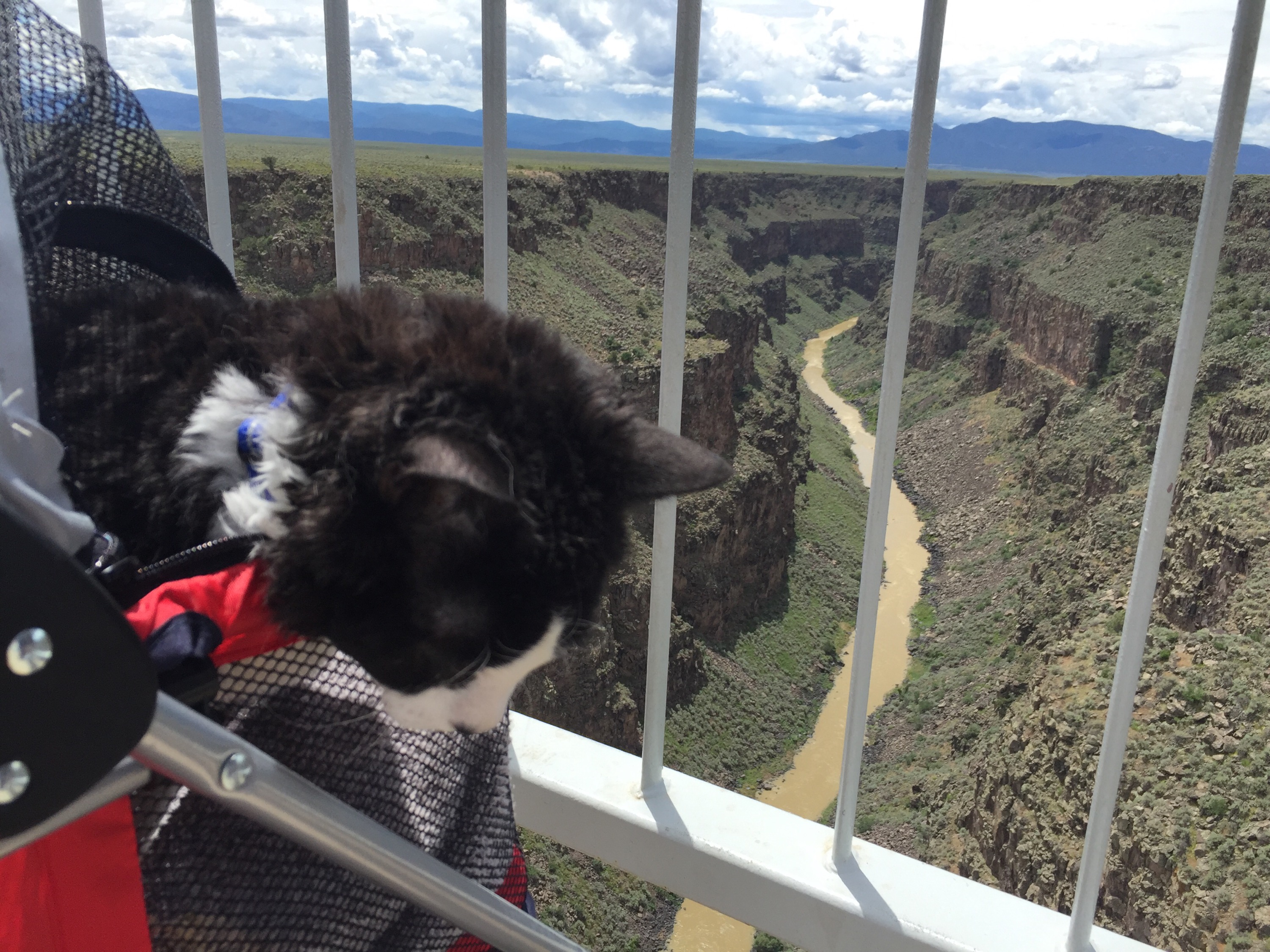 Pepper at the Rio Grande