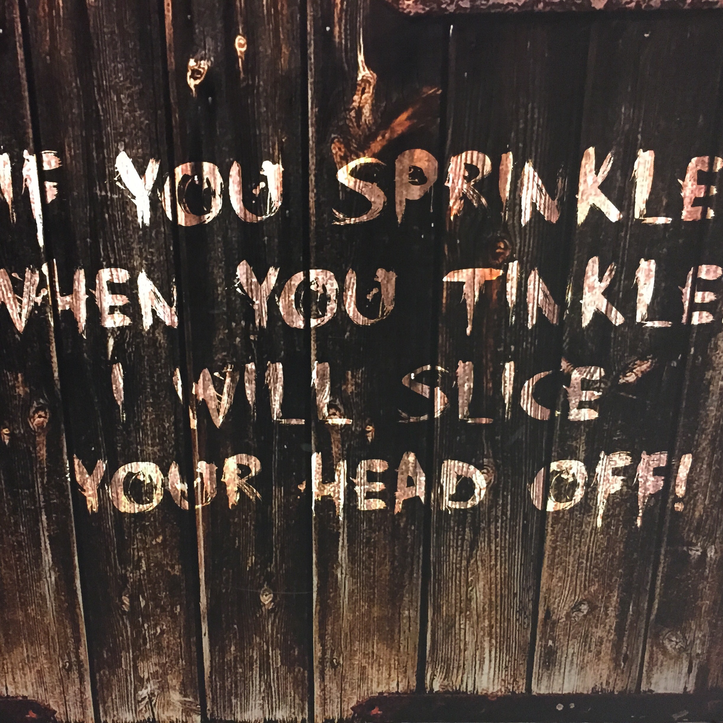 We went to The Dungeons of San Franciso interactive show. Pictures were not allowed inside but i did get this funny shot in the bathroom