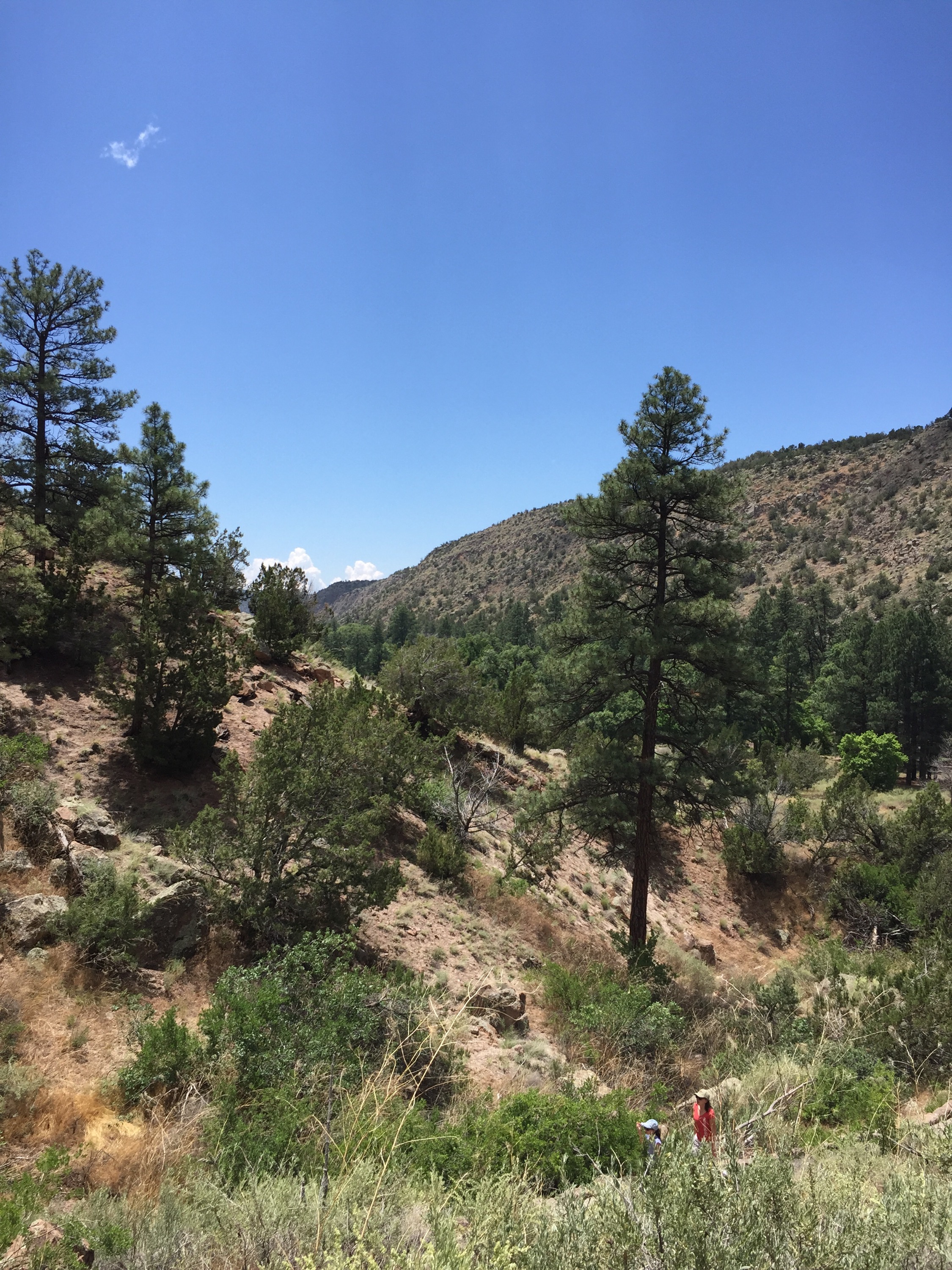 Bandelier