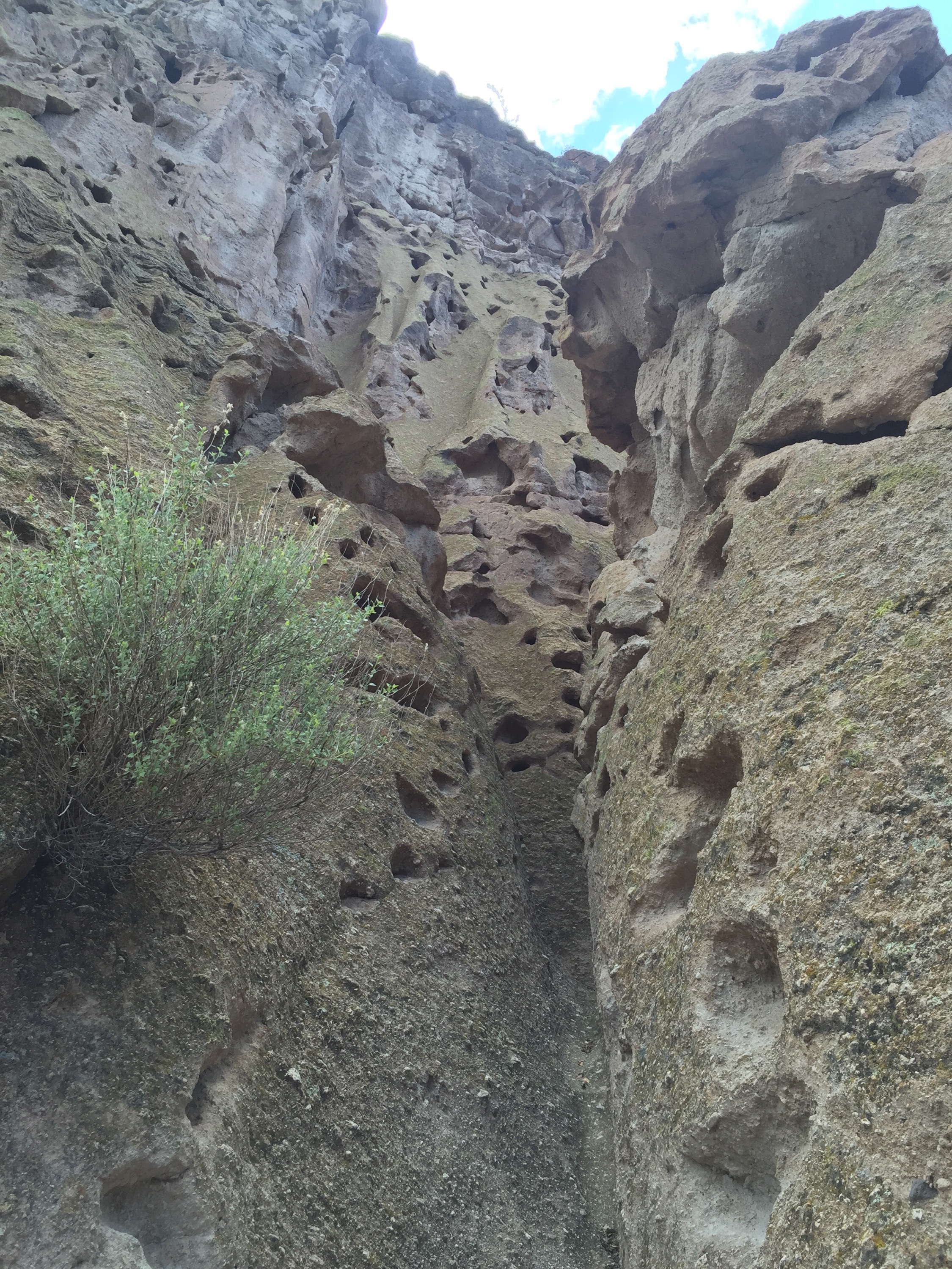 Bandelier