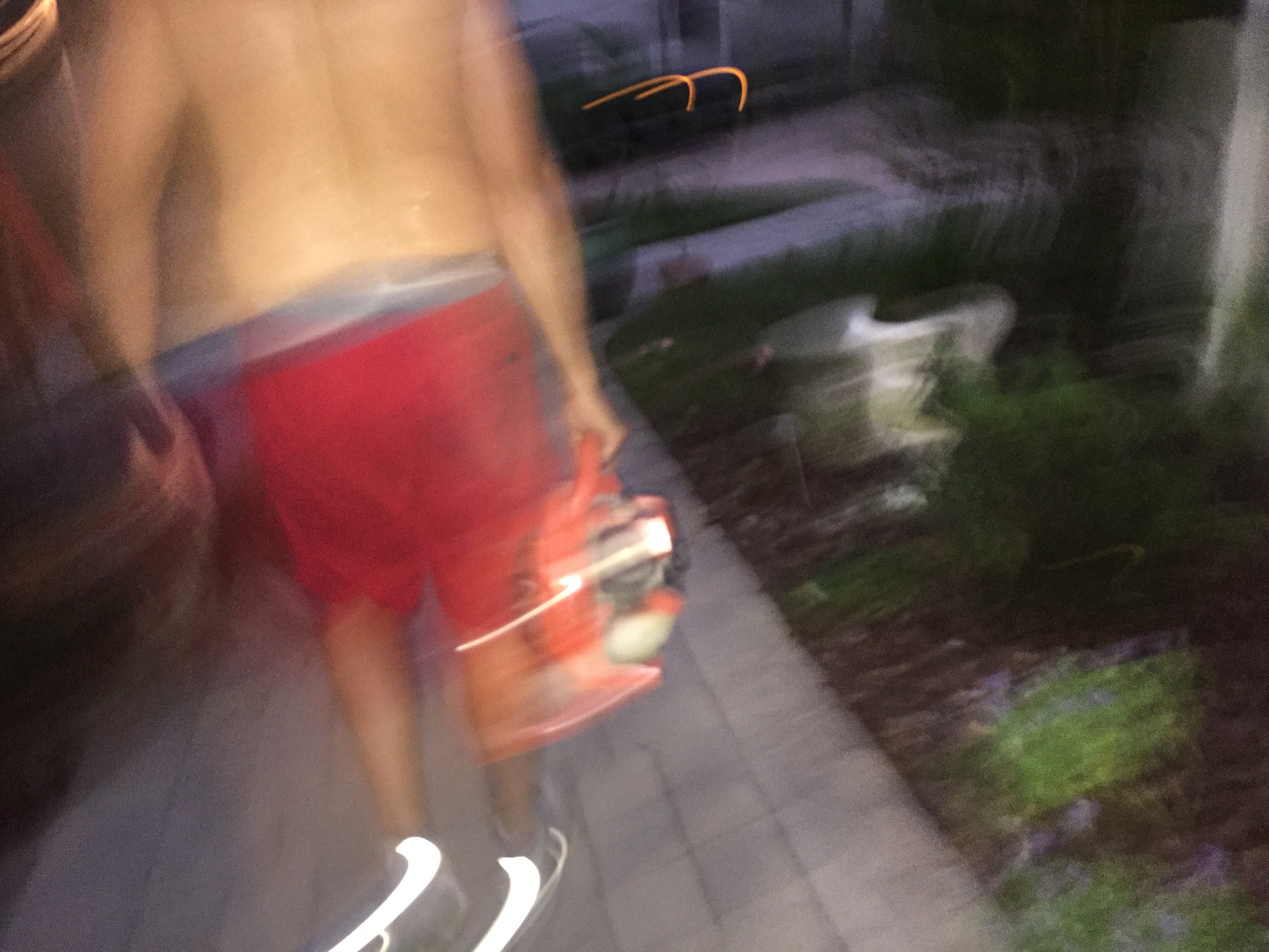 I actually took this picture late last night. There was a four ft snake in our side garden, I decided to take a picture of it. LOL I dont think you can photograph a snake and run at the same time.